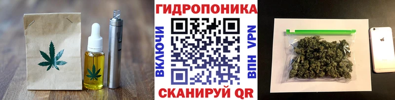 Cannafood конопля  Купить закладки  Берёзовский 