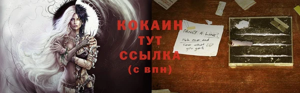 гидра Липки
